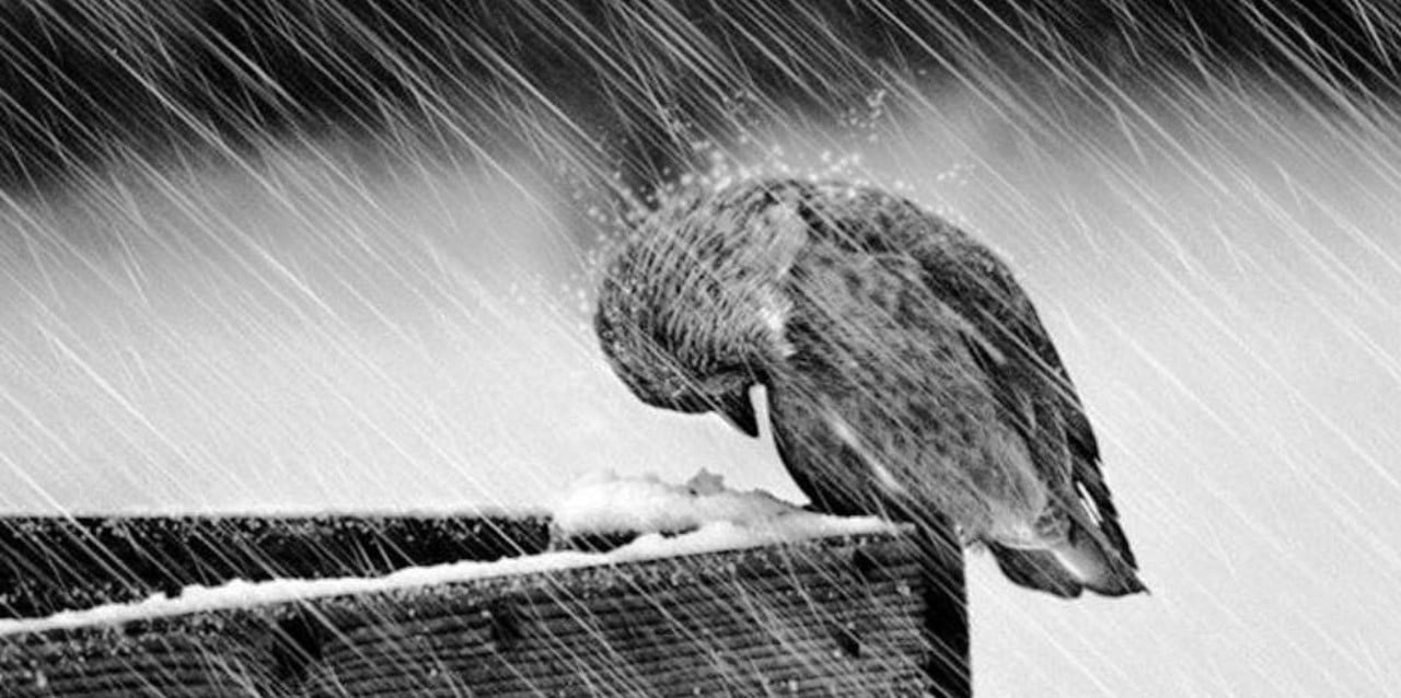 7 Tips for Anyone Who Gets Depressed in the Summer