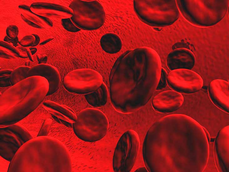 Take Cholesterol to Heart: What You Really