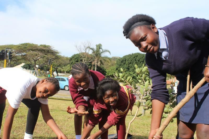 Diabetic women at more danger of heart failure than guys 1